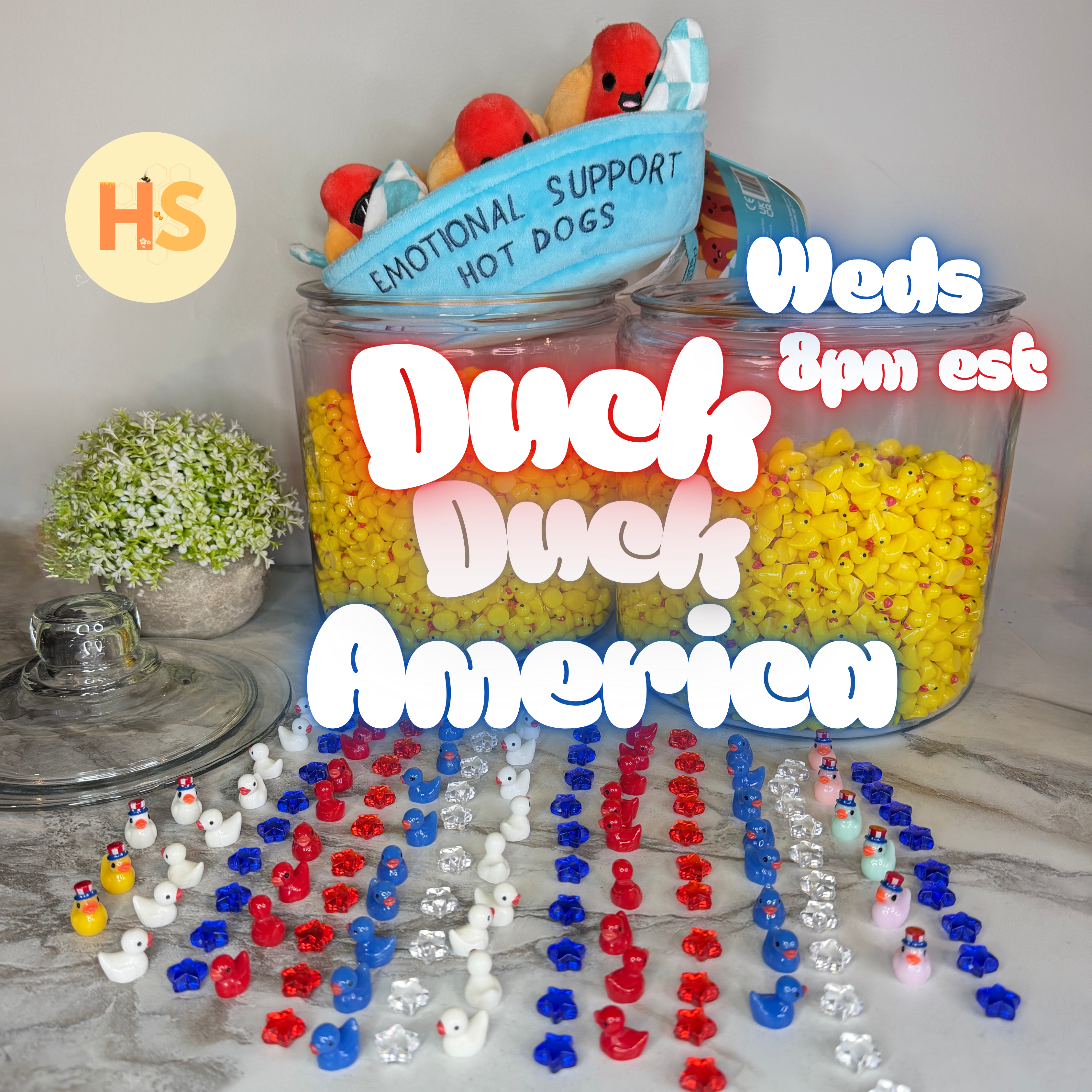 Duck Duck AMERICA Mystery Bags