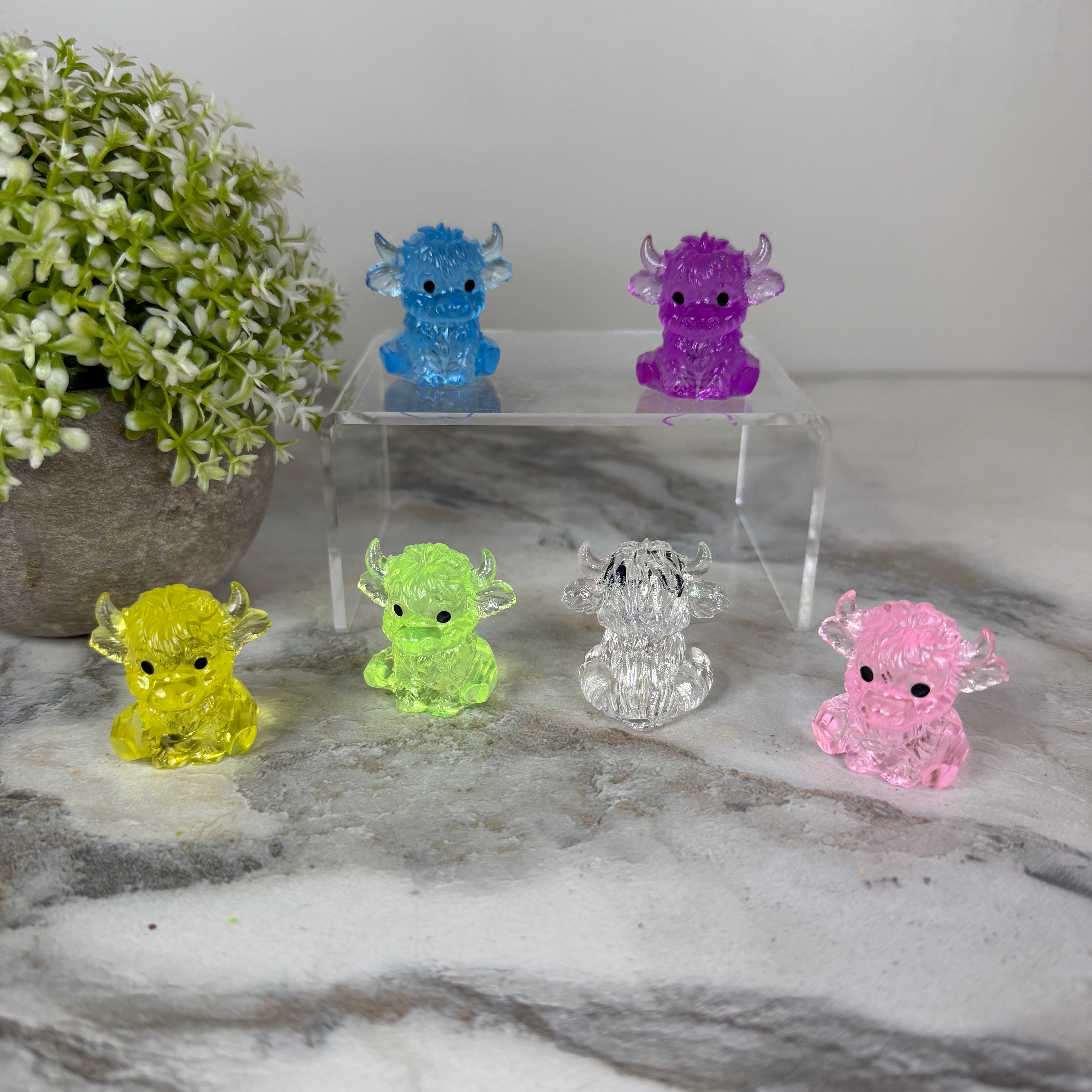 Squishy Toy - Ice Ice Highland Cow